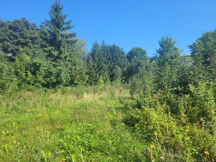 Grundstück