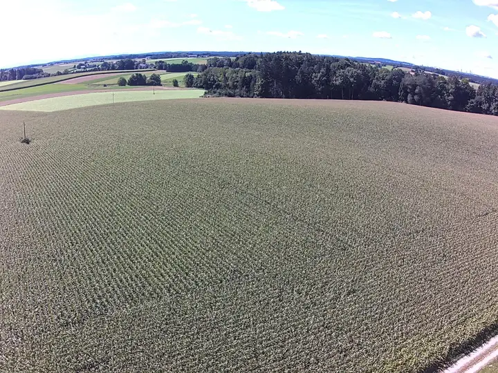 Anischt Feld Nordwest