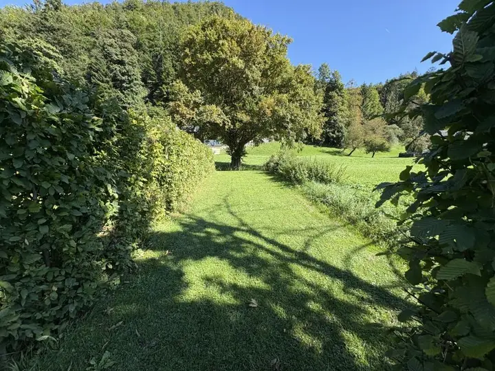 Eigengarten (2)