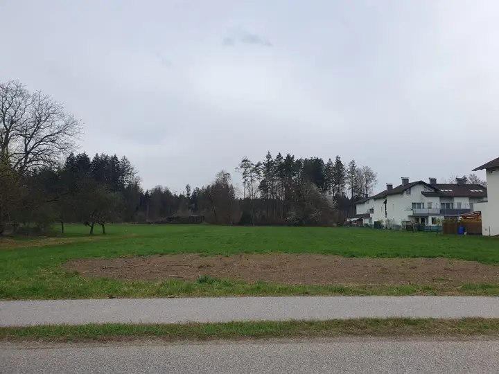 Bauerwartungsland