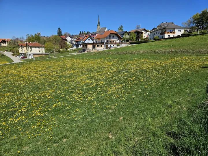 Ansicht