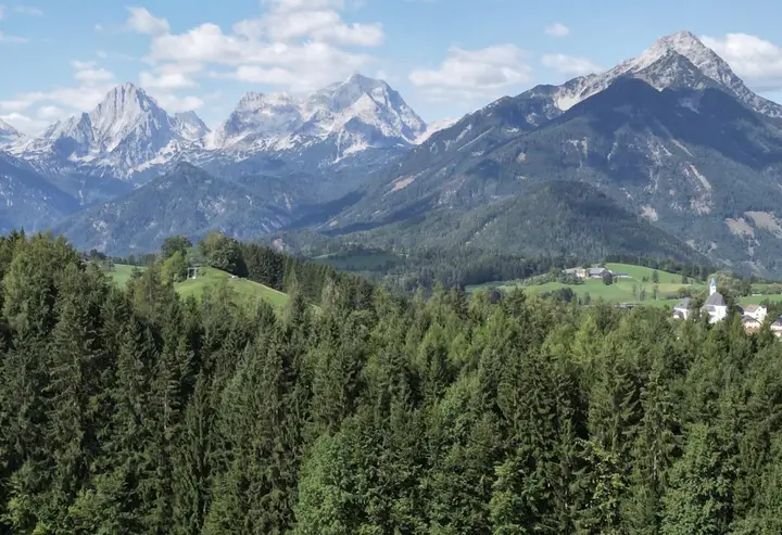 Wirtschaftswald in Ferienregion