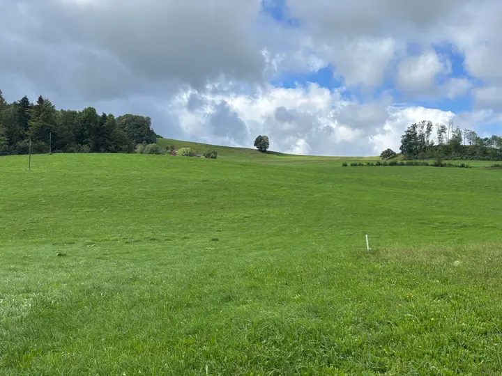 Nutzflächen und Wiese