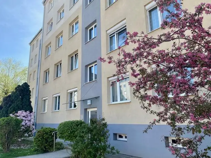 gepflegte Hausfront