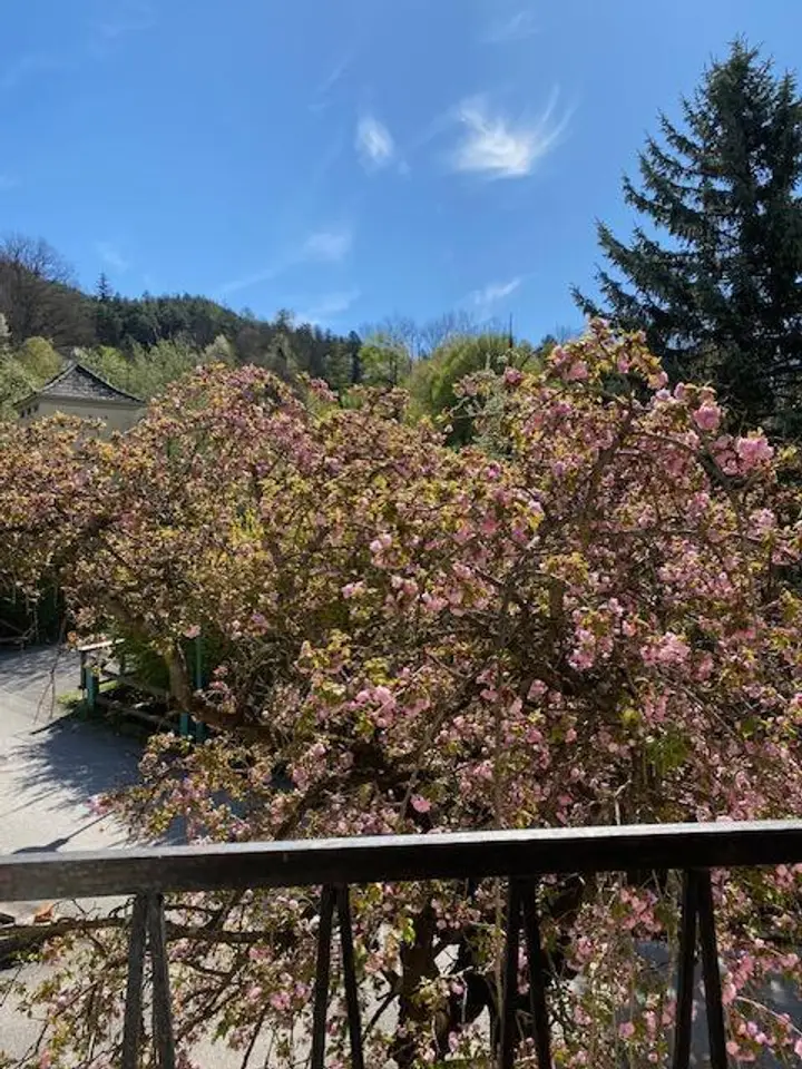 Ausblick vom Wohn-Schlafzimmer