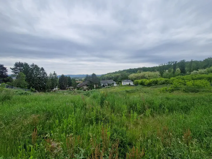Ansicht8