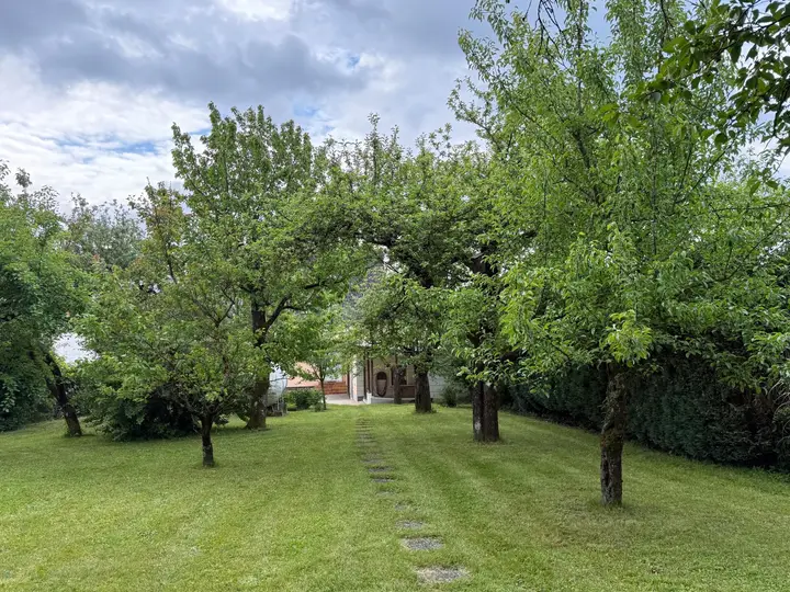 Garten Blick gen Haus