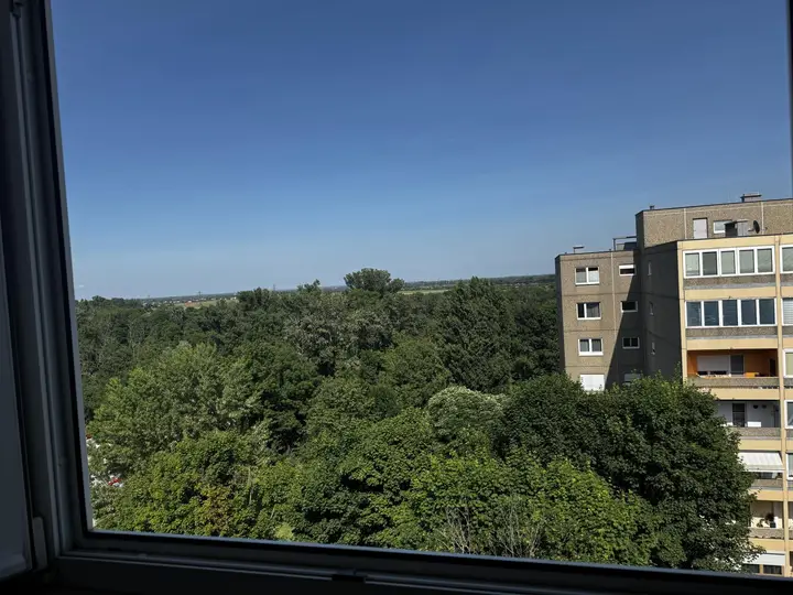 Ausblick