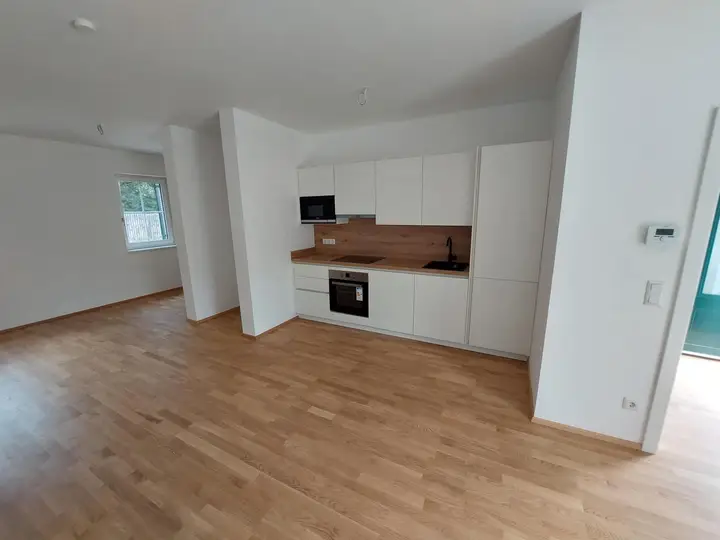 Wohnzimmer mit Küchenzeile