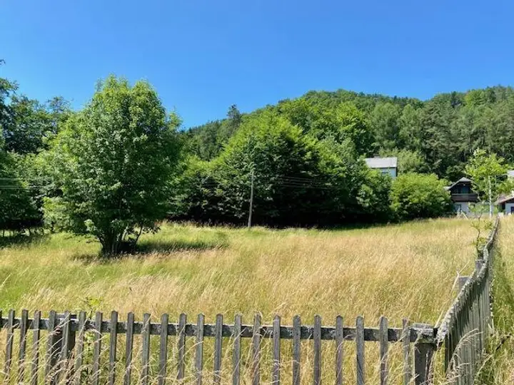 Eingezäunte Wiese, dahinter Wohngebäude