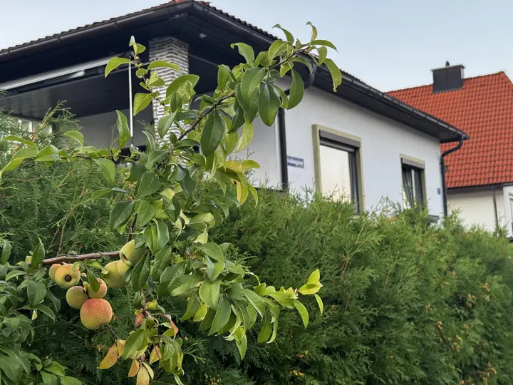 Ihr Bungalow am Fuße des Gfieders