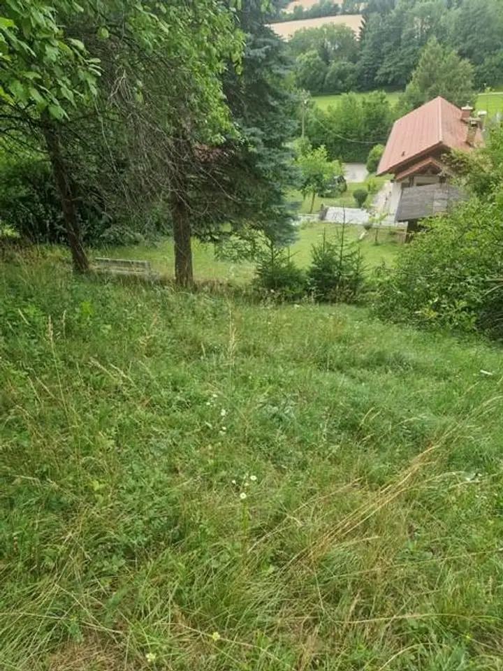 Ihre Liegenschaft am sonnigen Baugrundstück mit soviel Wald