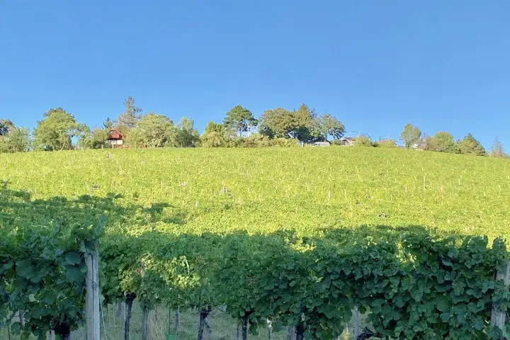 Weinberg
