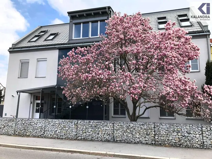 Hausansicht 1
