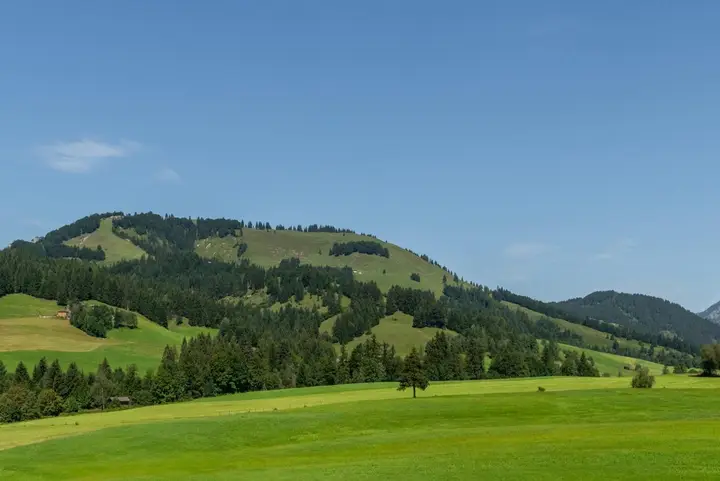 AUSBLICK