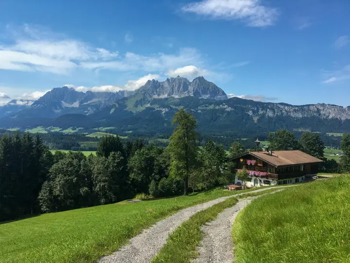 AUSBLICK