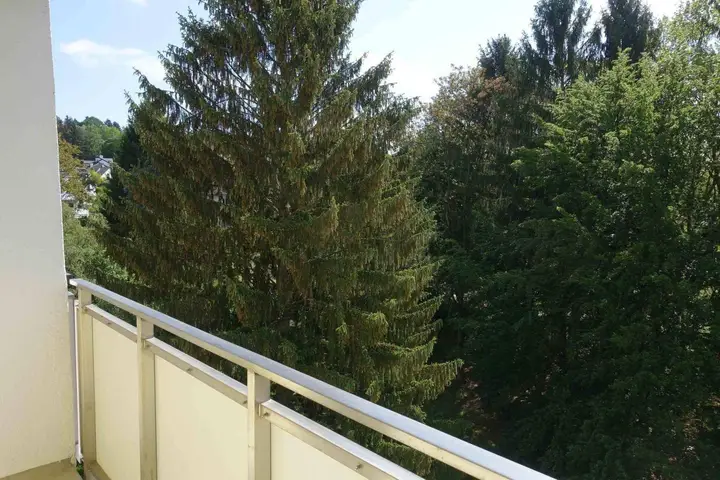 Ausblick