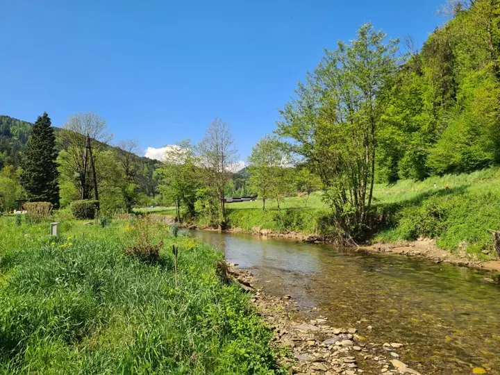 Natur PUR