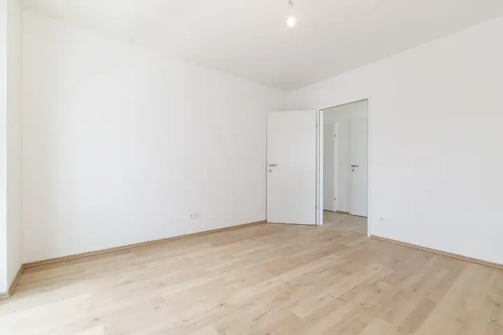 Zimmer