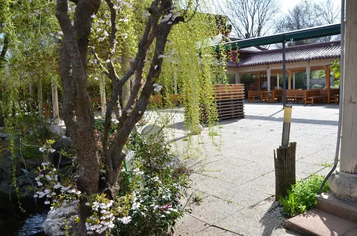 Garten 1