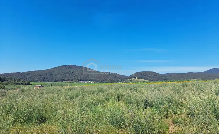 Blick von den Grundstücken auf die Weinberge