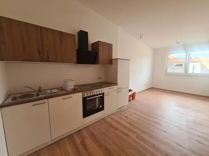 Küche mit Wohnbereich