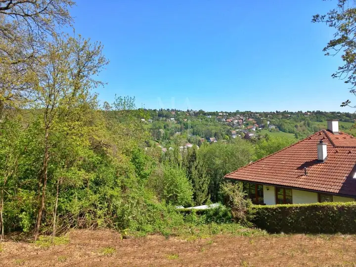 Weitblick