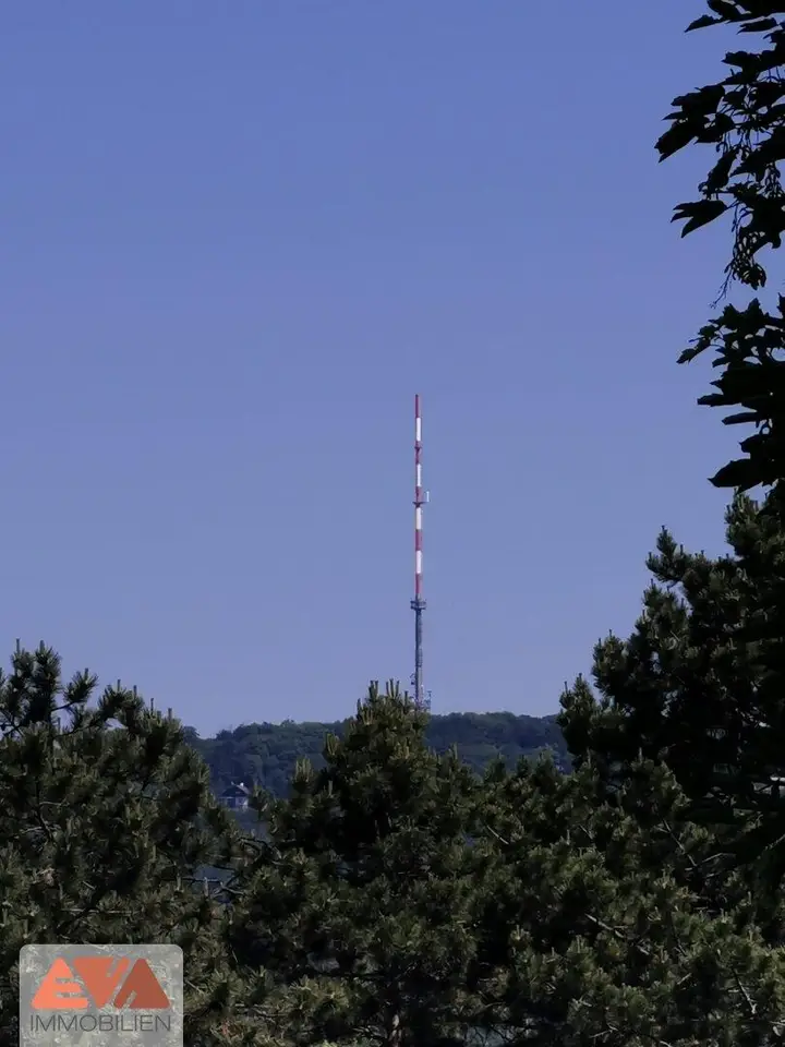 Blick auf den Kahlenberg