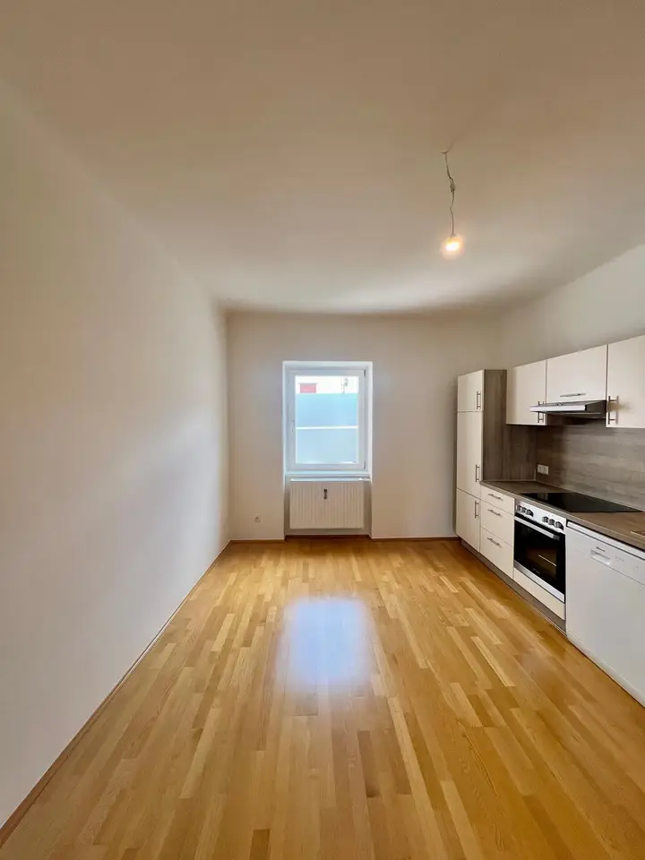 1_Zimmer