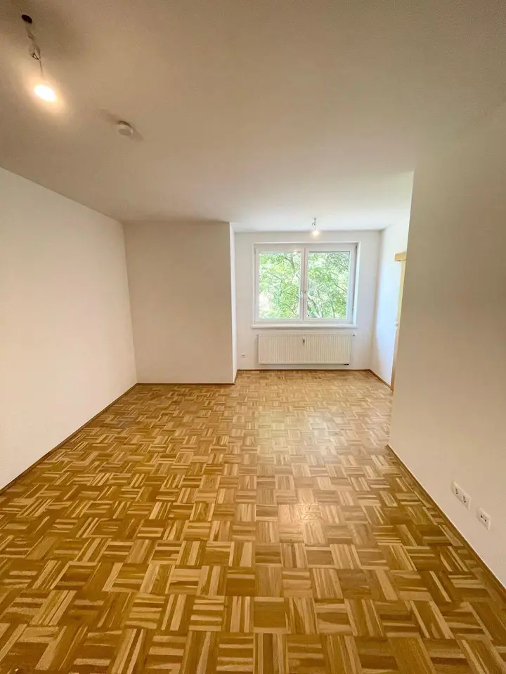 1_Zimmer