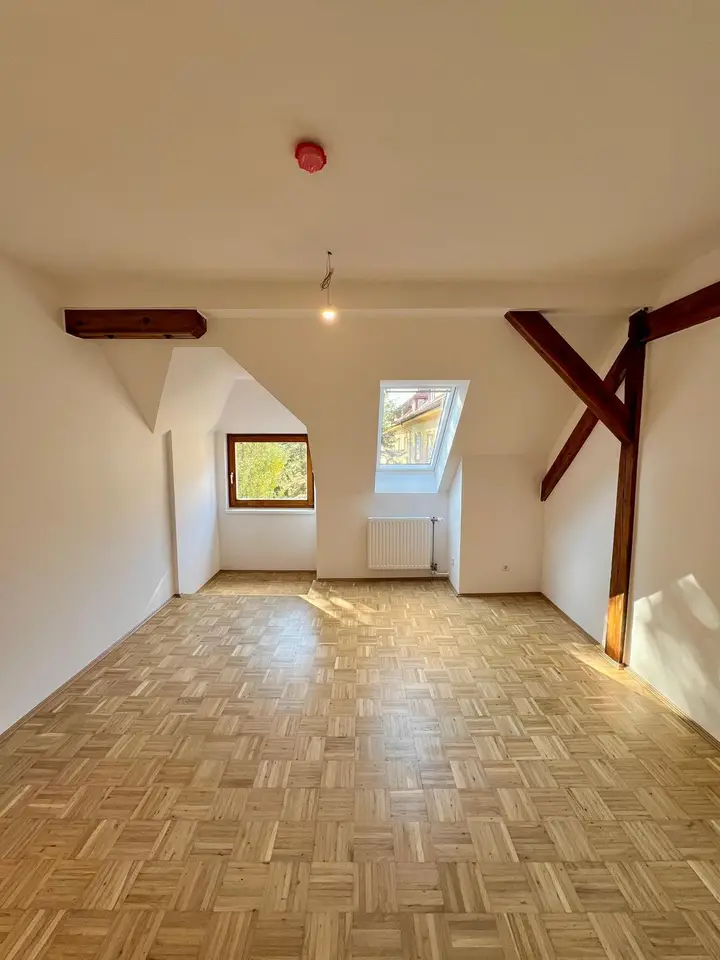 1_Zimmer