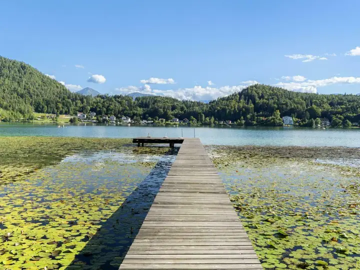 Klopeiner See Haus kaufen (32)