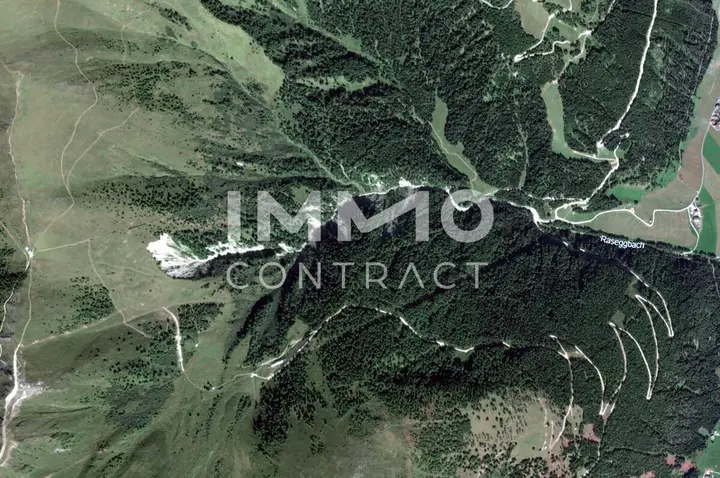 Satellitenaufnahme Waldparzelle