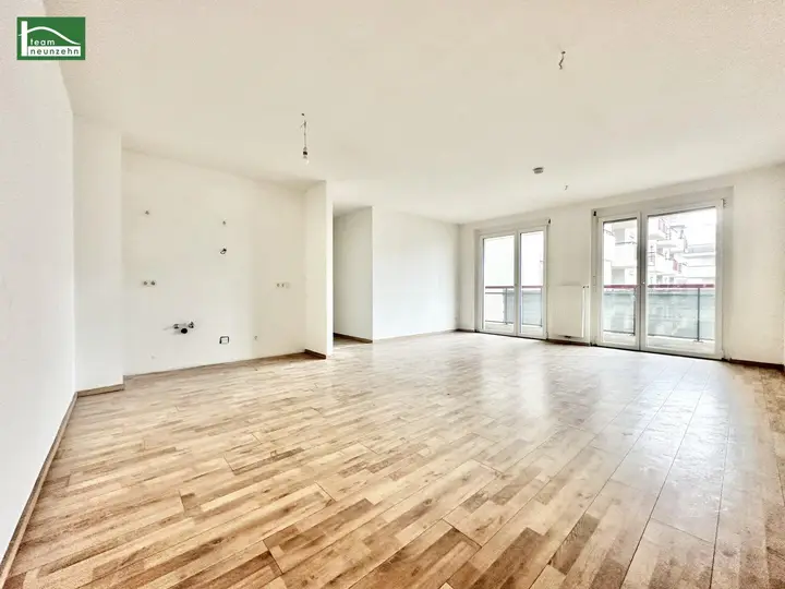 Wohnzimmer & Kochniche