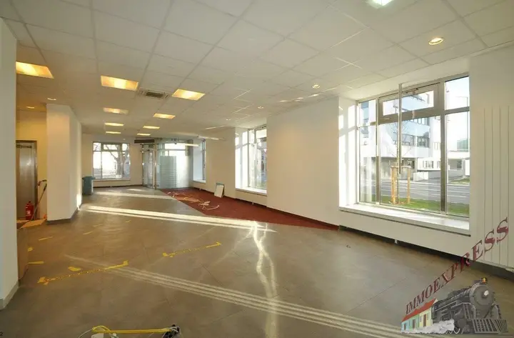 Bild1