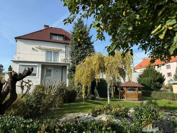 Unbenannt-1