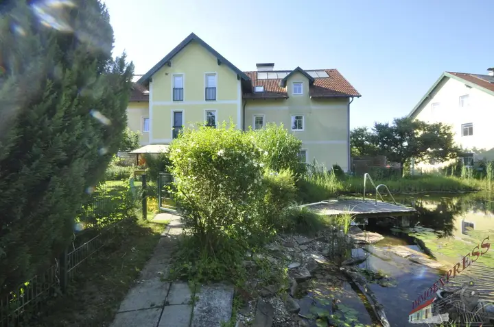 Bild1