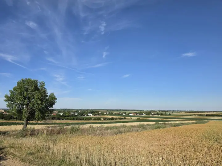 Grundstück