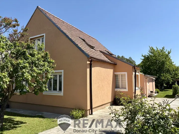 01 Einfamilienhaus in Judenau