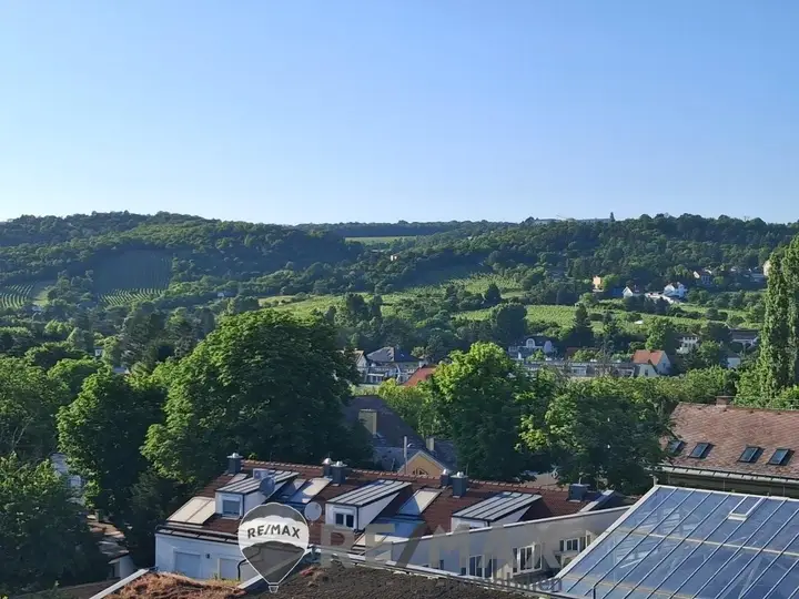 1 Traumausblick zum Bisamberg TerrassenPenthouse 1