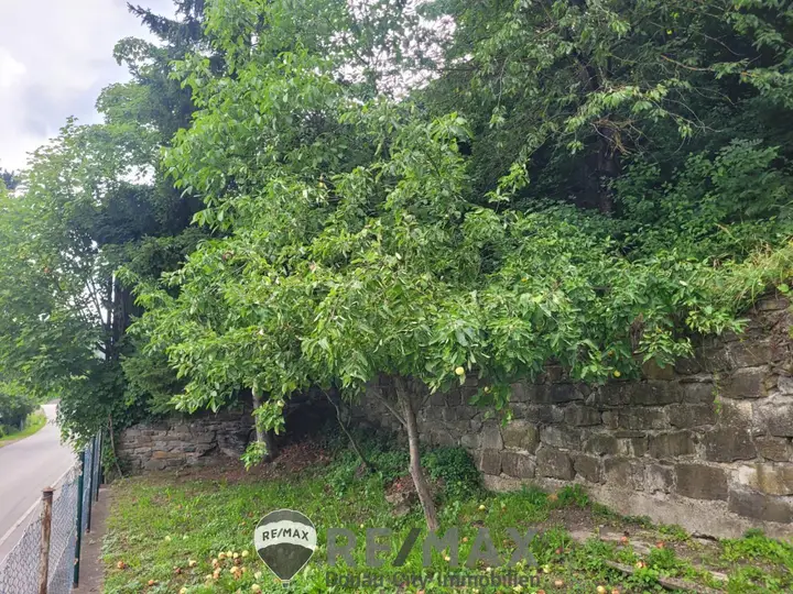 01 Exposé Garten