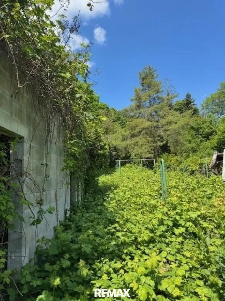 Garten.