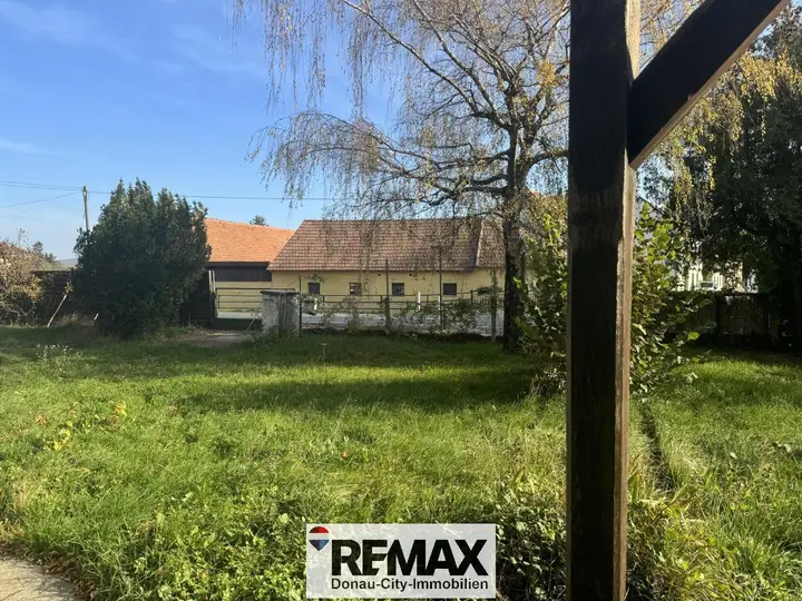 01 Baugrund in Katzelsdorf