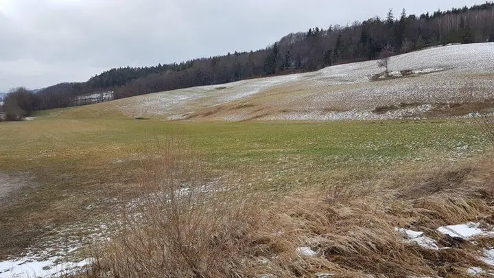 20220201_145539_resi