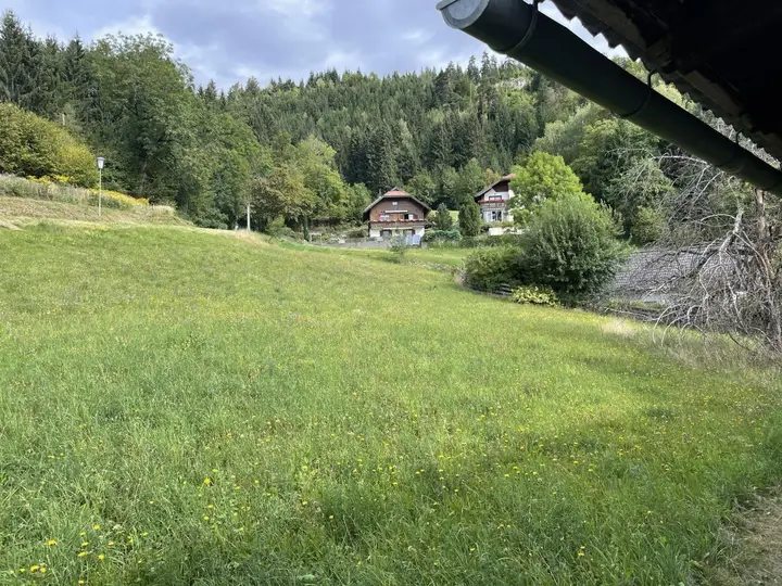 Ausblick