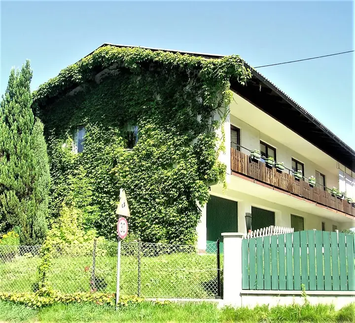 Hauptbild