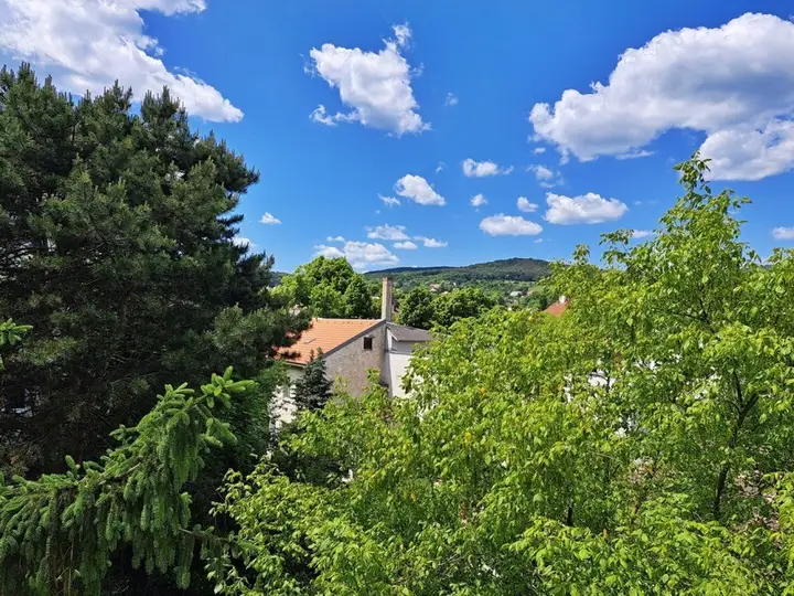 Grünblick Richtung Mitterberg