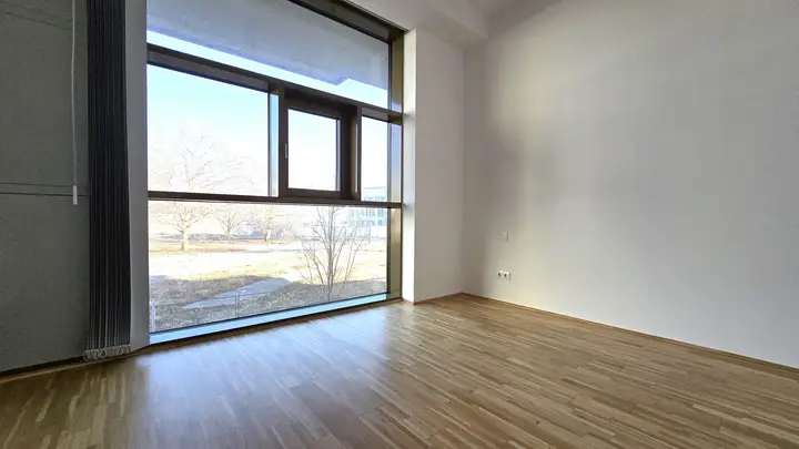 Zimmer-2