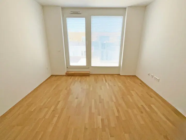B16 (1)