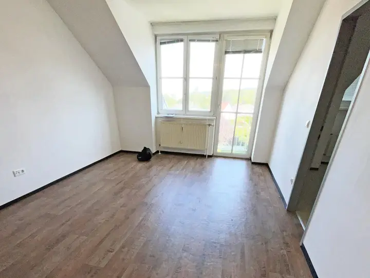 Zenzi 2_18 (1)